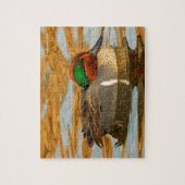 Handsome Green-Winged Blauwgroen Duck op Golden Po Legpuzzel (Verticaal)