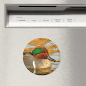 Handsome Green-Winged Blauwgroen Duck op Golden Po Magneet (Insitu (Vaatwasser))