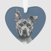 Handsome Grey Pit Bull Terrier Dog Tekening Ornament (voorkant)
