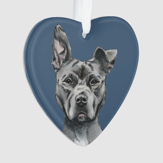 Handsome Grey Pit Bull Terrier Dog Tekening Ornament (voorkant)