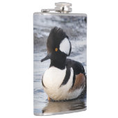 Handsome Hooded Merganser on the Move Heupfles (Rechts)