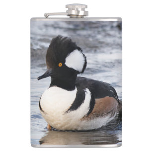 Handsome Hooded Merganser on the Move Heupfles