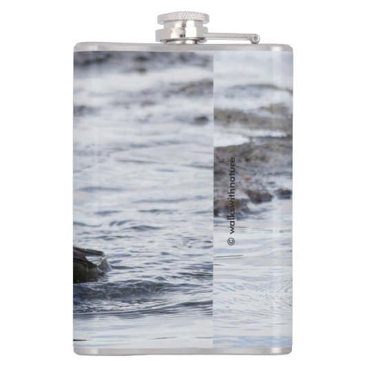 Handsome Hooded Merganser on the Move Heupfles (Achterkant)