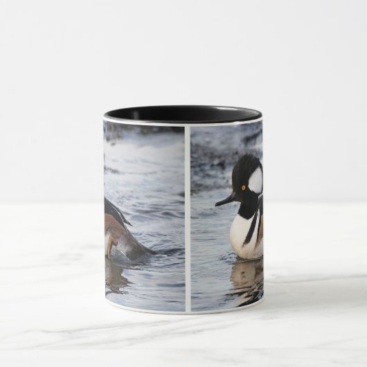 Handsome Hooded Merganser on the Move Mok (Midden)