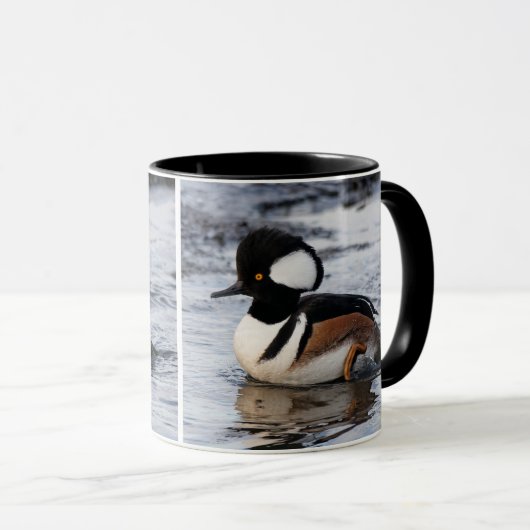 Handsome Hooded Merganser on the Move Mok (Voorkant rechts)