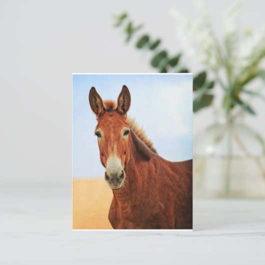 Handsome Jackass Briefkaart (Staand voorkant)