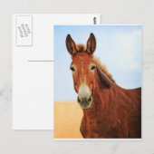 Handsome Jackass Briefkaart (Voorkant / Achterkant)