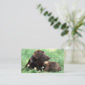 Handsome Labrador Retriever Foto van Animal Care Visitekaartje (Staand voorkant)