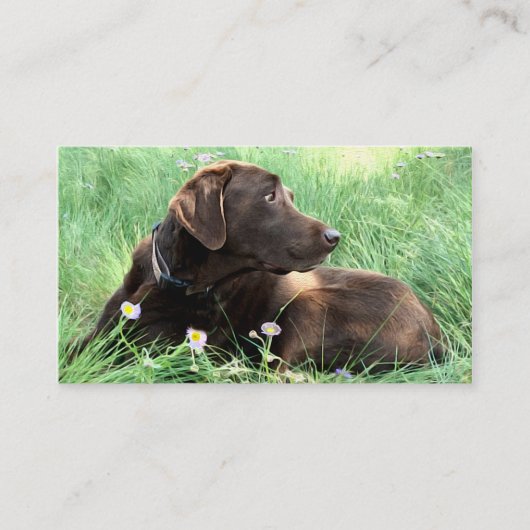 Handsome Labrador Retriever Foto van Animal Care Visitekaartje (Voorkant)