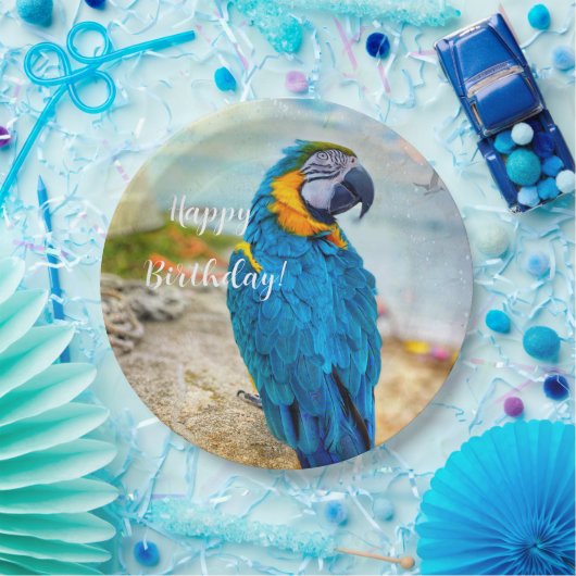Handsome Macaw Parrot Papieren Bordje (Feest)