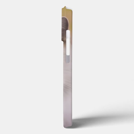 Handsome Maine Coon Himalayan Cat Case-Mate iPhone Case (Achterkant / Links)