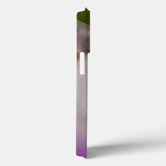 Handsome Maine Coon Himalayan Cat Case-Mate iPhone Case (Achterkant / Rechts)