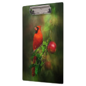 Handsome Male Kardinaal Klembord (Links)