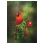 Handsome Male Kardinaal Klembord (Achterkant)