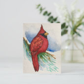 Handsome Northern Cardinale Red Bird Briefkaart (Staand voorkant)
