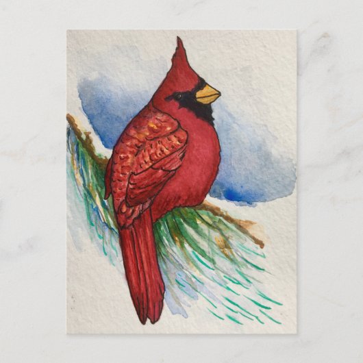 Handsome Northern Cardinale Red Bird Briefkaart (Voorkant)