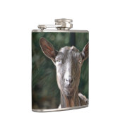 Handsome Old Goat Heupfles (Rechts)