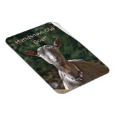 Handsome Old Goat Magneet (Rechterzijde)