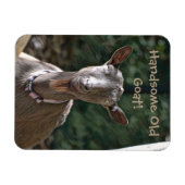 Handsome Old Goat Magneet (Horizontaal)