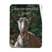 Handsome Old Goat Magneet (Verticaal)