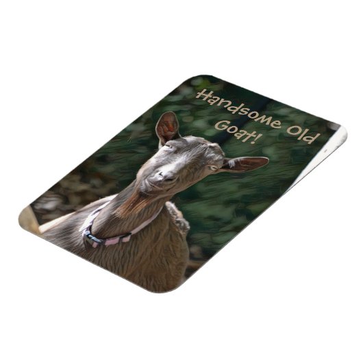 Handsome Old Goat Magneet (Linkerzijde)