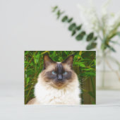 Handsome Oscar Briefkaart (Staand voorkant)