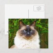 Handsome Oscar Briefkaart (Voorkant / Achterkant)