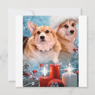 Handsome Pembroke Welsh Corgis Holiday Card Feestdagenkaart