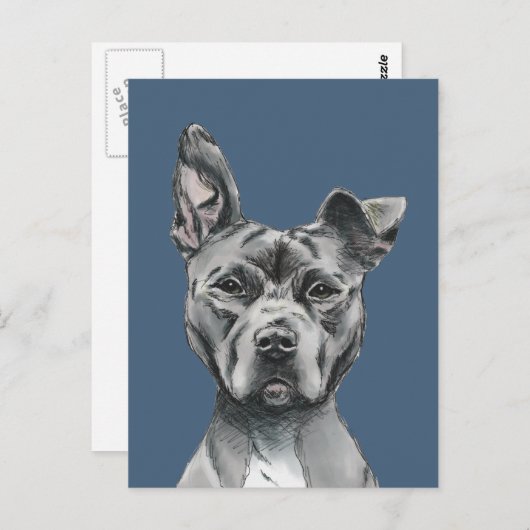 Handsome Pit Bull Terrier Dog Tekening Briefkaart (Voorkant / Achterkant)