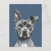 Handsome Pit Bull Terrier Dog Tekening