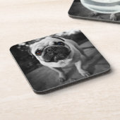 Handsome Pug Bier Onderzetter (Linkerzijde)
