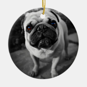 Handsome Pug Keramisch Ornament
