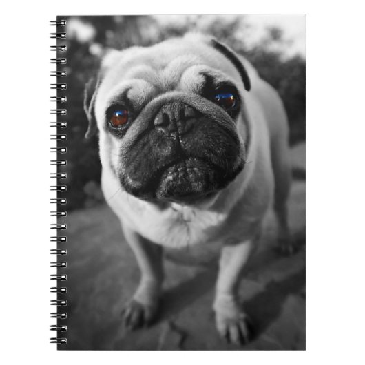 Handsome Pug Notitieboek (Voorkant)