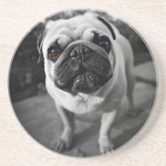 Handsome Pug Zandsteen Onderzetter (Voorkant)