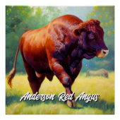 Handsome Red Angus Bull Perfect Poster (Voorkant)