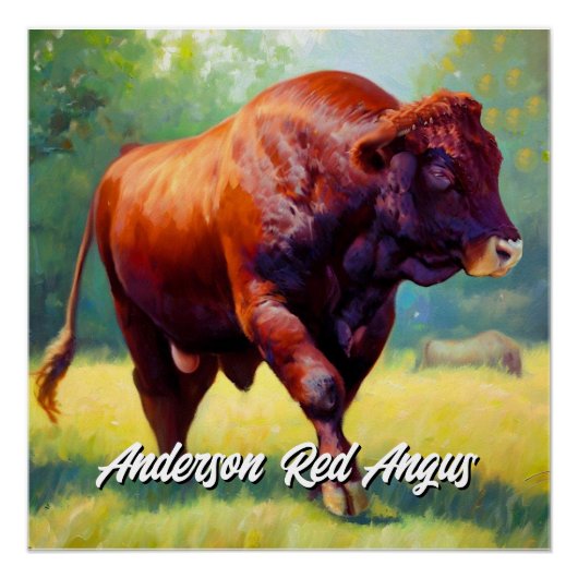 Handsome Red Angus Bull Perfect Poster (Voorkant)