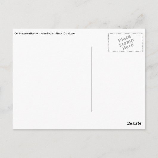 Handsome Rooster Briefkaart (Achterkant)