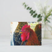 Handsome Rooster Briefkaart (Staand voorkant)