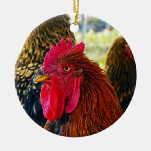 Handsome Rooster Keramisch Ornament (Voorkant)