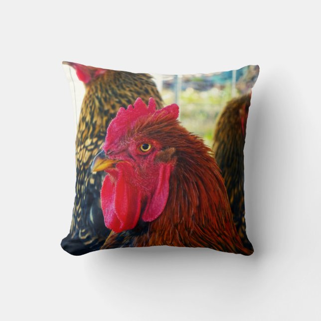 Handsome Rooster Kussen (Voorkant)