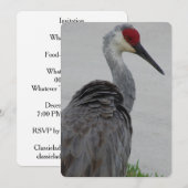 Handsome Sandhill Crane Kaart (Voorkant / Achterkant)
