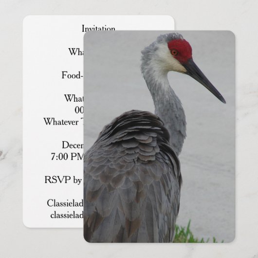 Handsome Sandhill Crane Kaart (Voorkant / Achterkant)