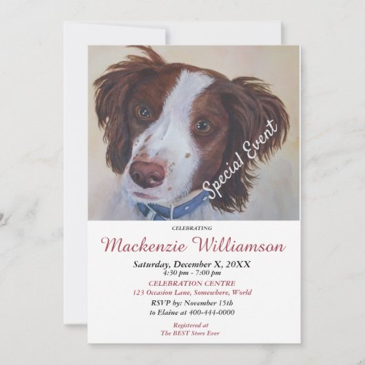 HANDSOME SETTER PUPPY WISHEERT HAPPY BIRTHDAY KAART (Voorkant)