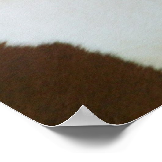 Handsome Sonny Poster (Hoek)