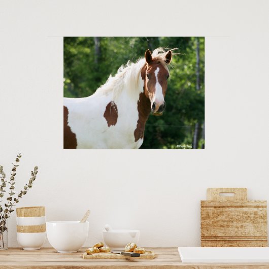 Handsome Sonny Poster (Keuken)