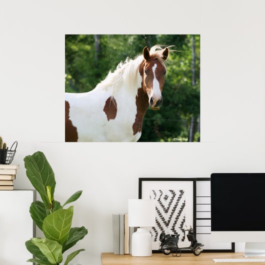 Handsome Sonny Poster (Thuiskantoor)