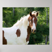 Handsome Sonny Poster (Voorkant)