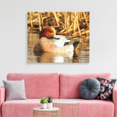 Handsome Stranger Eurasian Wigeon Duck aan de Pond Canvas Afdruk (Insitu (Woonkamer))