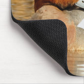 Handsome Stranger Eurasian Wigeon Duck aan de Pond Muismat (Hoek)