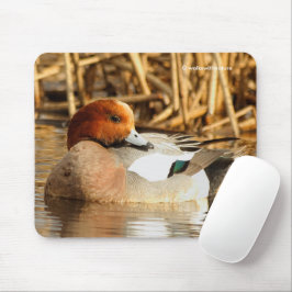 Handsome Stranger Eurasian Wigeon Duck aan de Pond Muismat